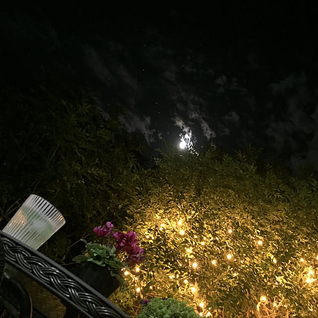 tyero3024さんの実例写真