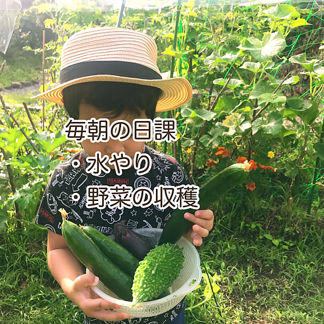 yuumeroさんの実例写真