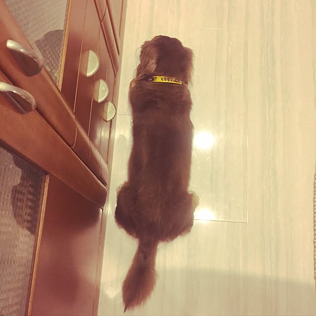 mimosaさんの実例写真