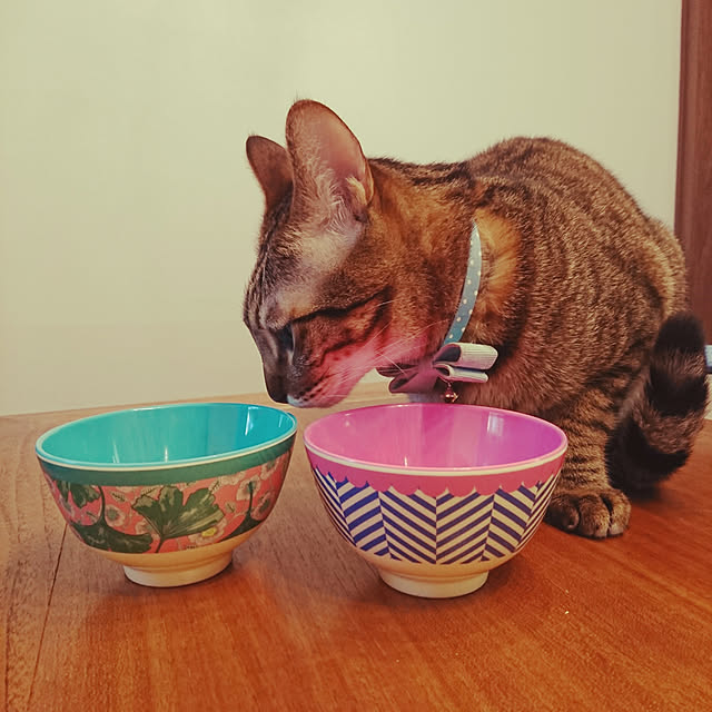 poniさんの実例写真