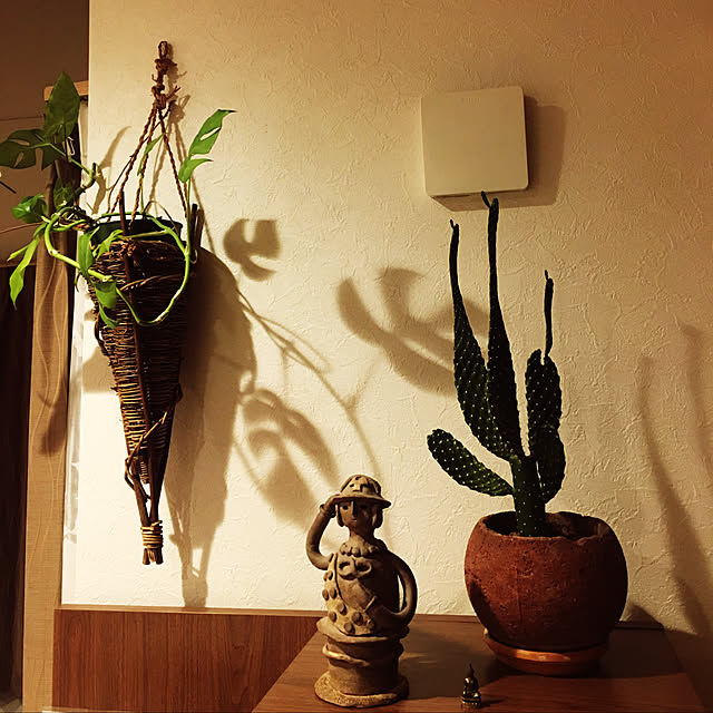 copasanさんの実例写真