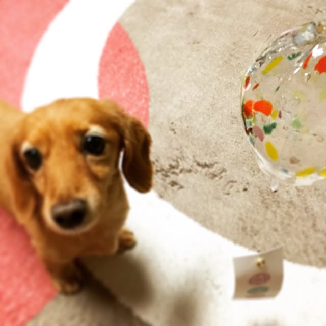 sakuさんの実例写真
