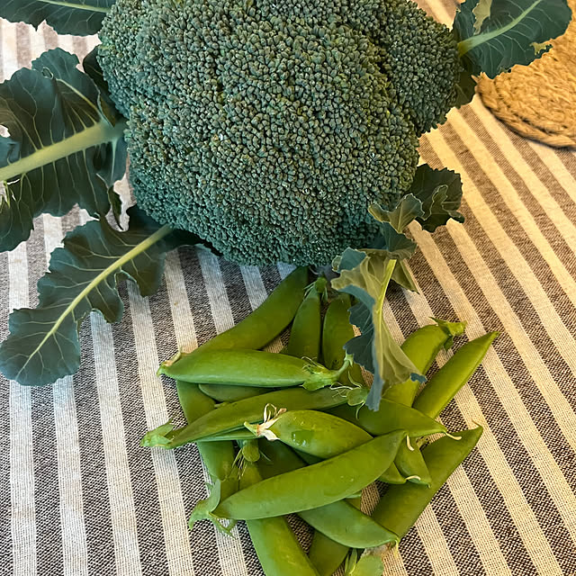 Virolさんの実例写真