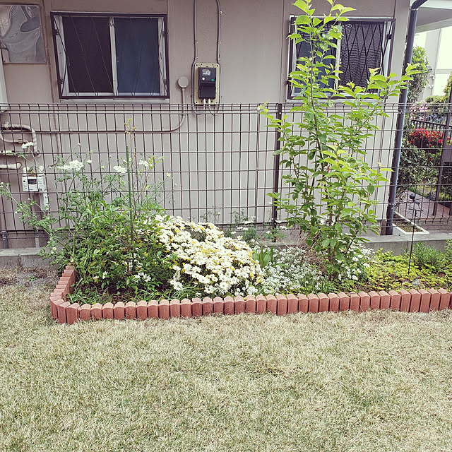 masaさんの実例写真