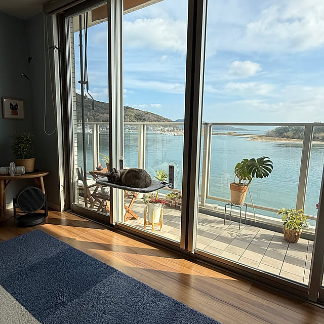 amさんの実例写真