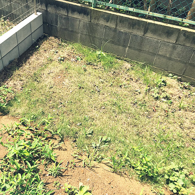 dsdsfasionさんの実例写真