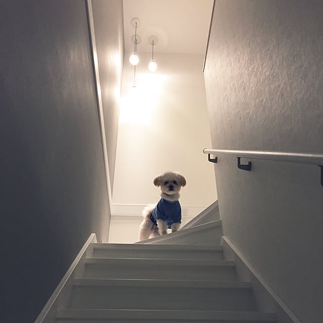 K.kさんの実例写真