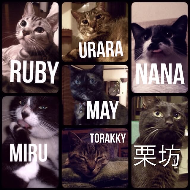 jnkaiさんの実例写真