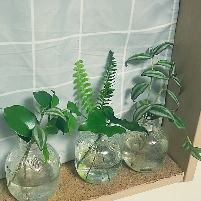 Ri-さんの実例写真