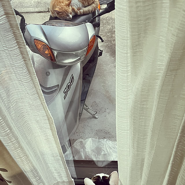 ikuekuekueさんの実例写真