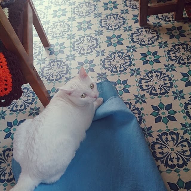 amifuuさんの実例写真