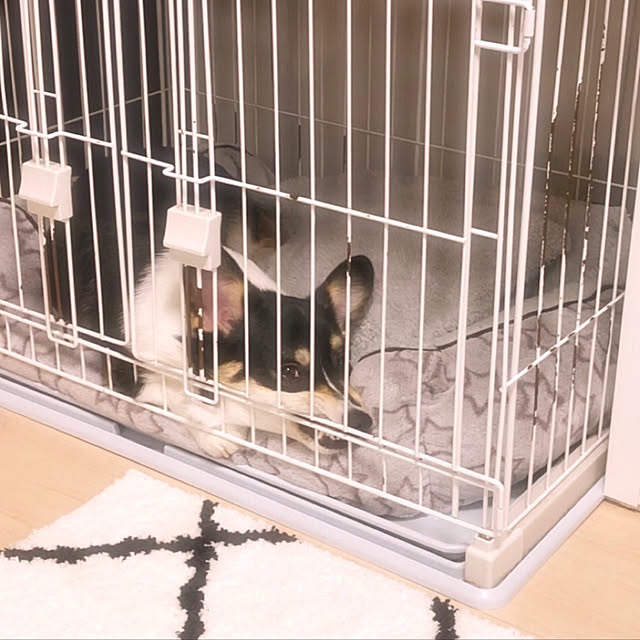 Ruiさんの実例写真