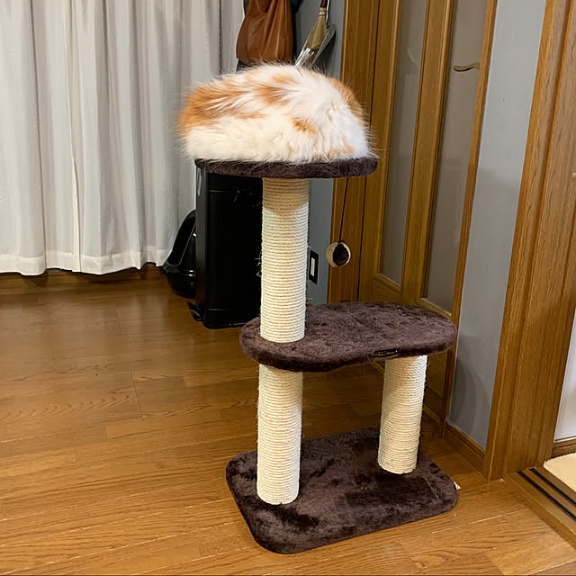 keiさんの実例写真