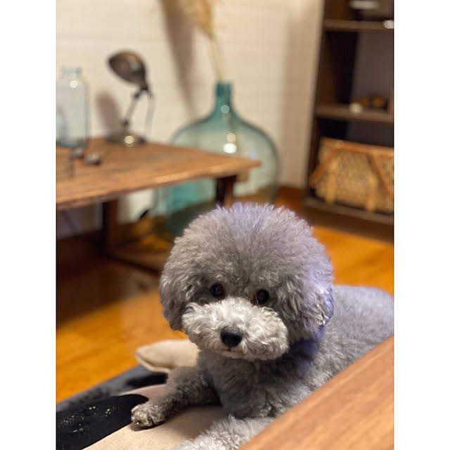 meguko.ryanさんの実例写真
