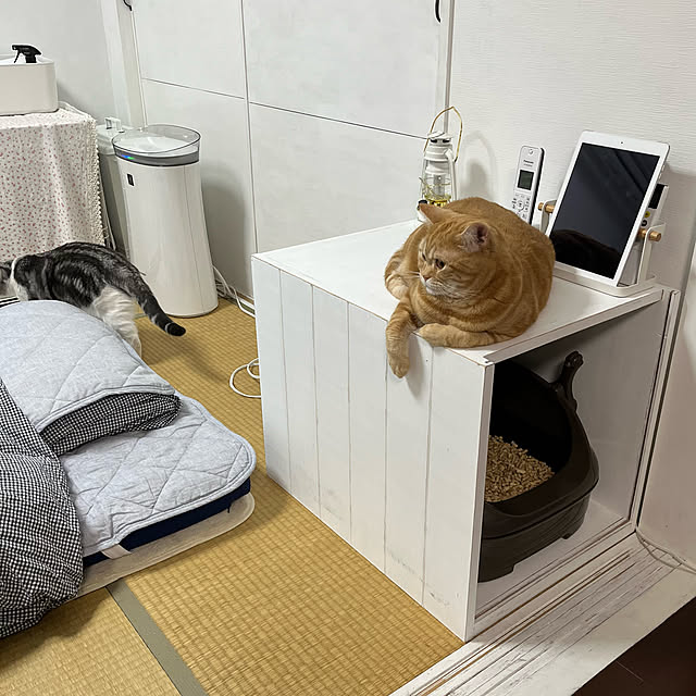 Atelier.mさんの実例写真
