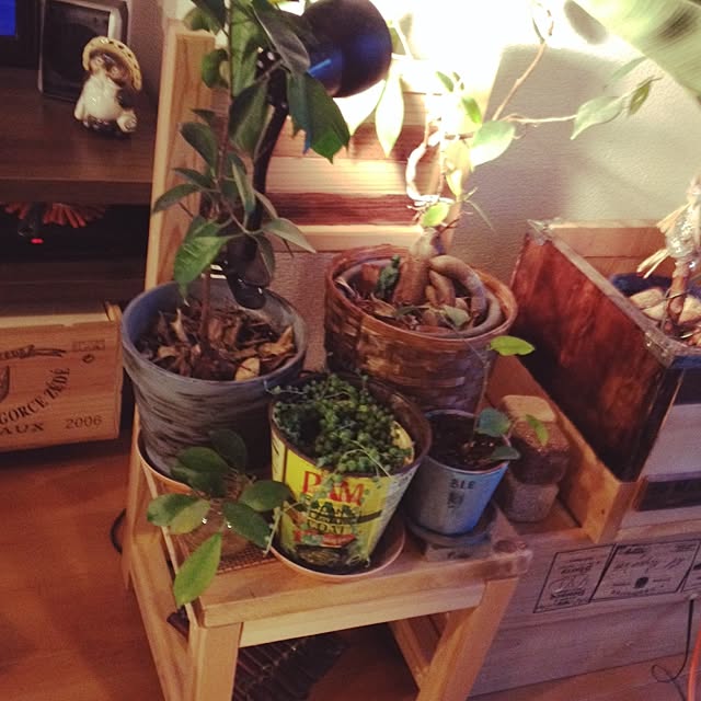 rrikiyさんの実例写真