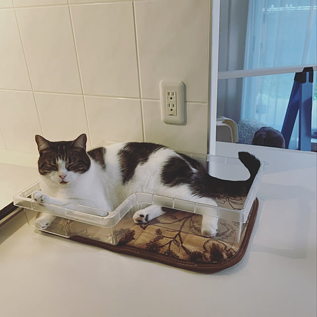 hemukoさんの実例写真