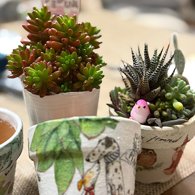 Aqettyさんの部屋