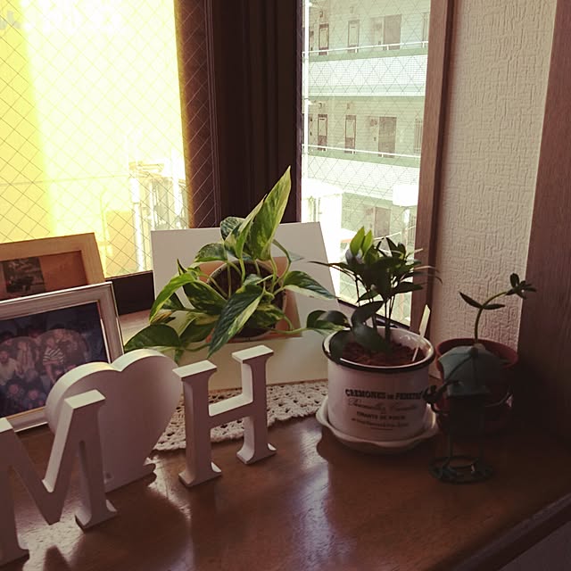 yakoさんの実例写真