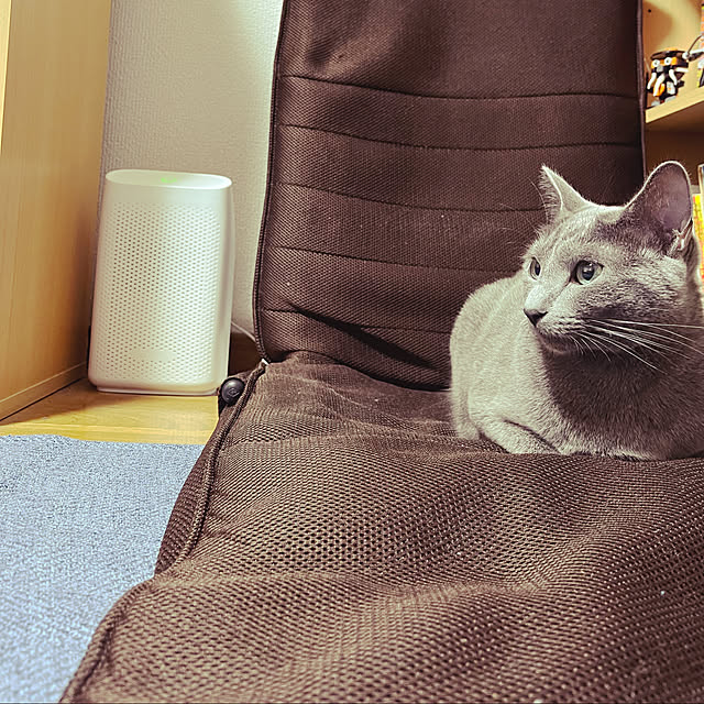 kyonさんの実例写真