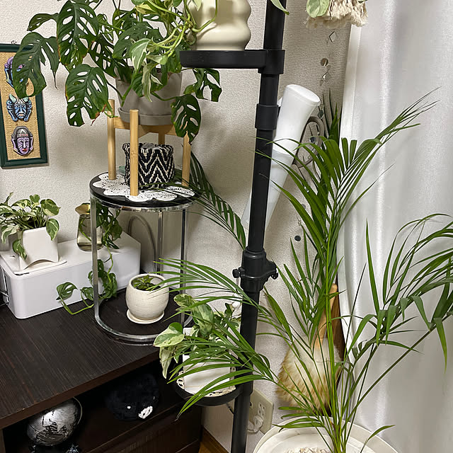 konekoginjiさんの実例写真