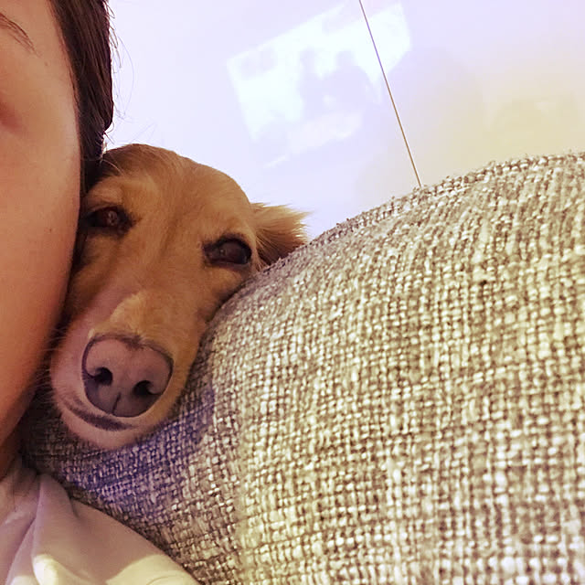 Eriさんの実例写真