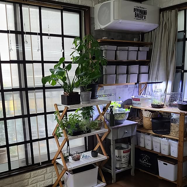 opiopiopiさんの部屋