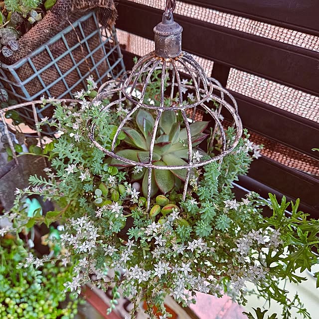 mocomocoさんの部屋