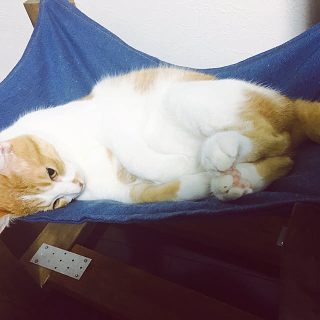 abcさんの実例写真