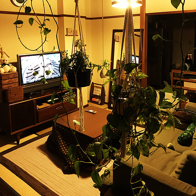 tamaさんの実例写真
