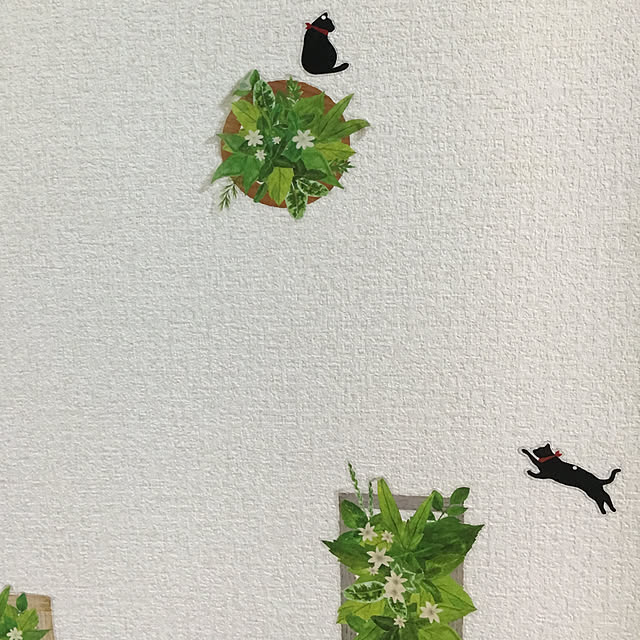 pidamuさんの実例写真