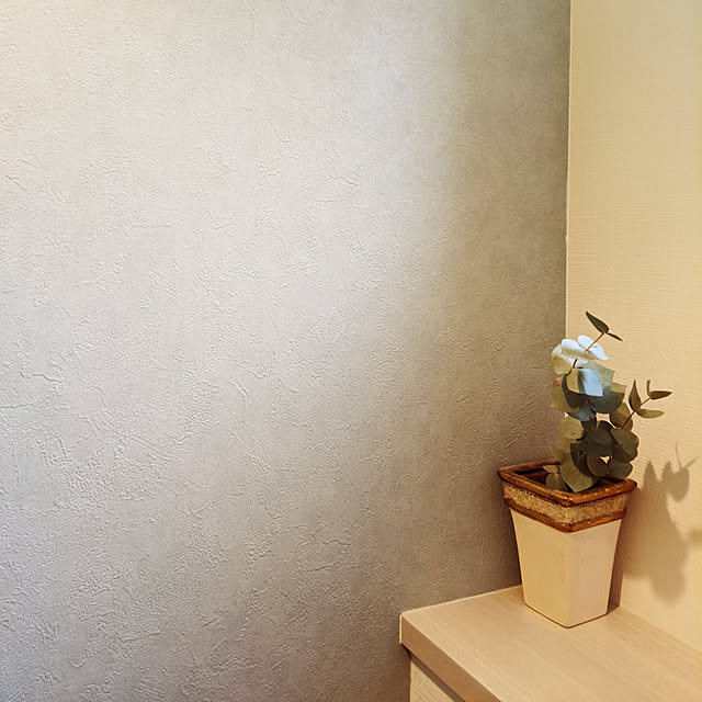 バス/トイレ/アクセントクロスのインテリア実例 - 2020-06-15 20:56:37