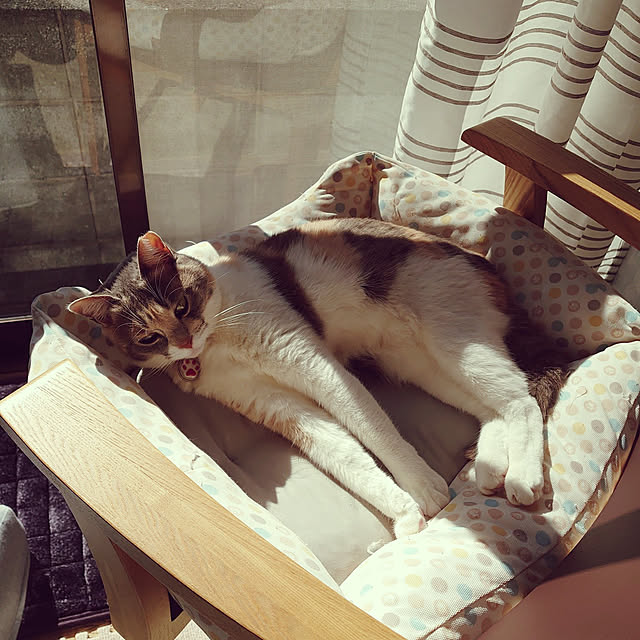 fukuさんの実例写真