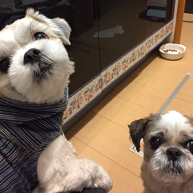 emiさんの実例写真