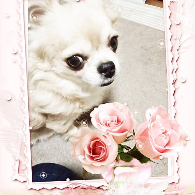 kiraさんの実例写真