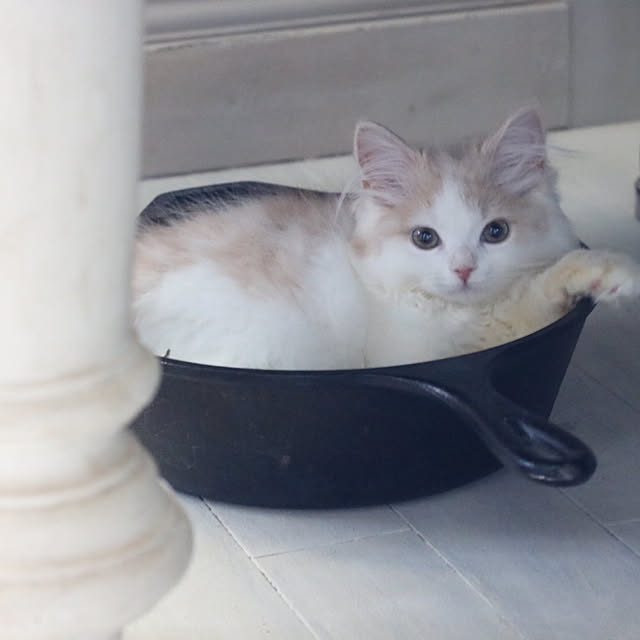 mannersさんの実例写真