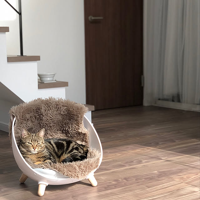 neuruさんの実例写真