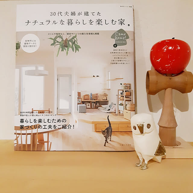 部屋全体/平屋/ネコとエコの家/地元の工務店/スローライフ名古屋...などのインテリア実例 - 2019-11-04 17:32:44