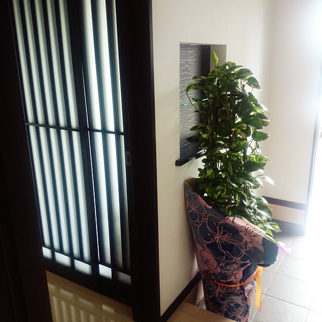 実例写真