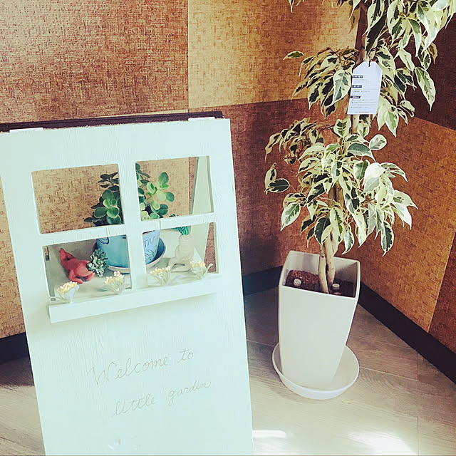 akochanさんの実例写真