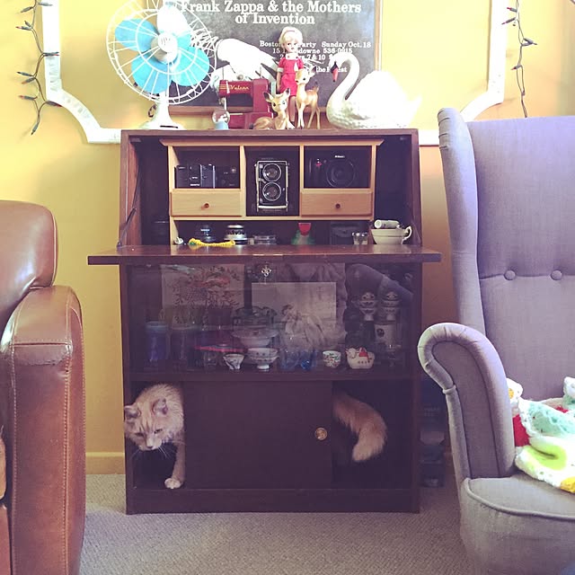 nekohigeさんの実例写真