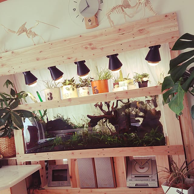 shs1019shsさんの実例写真