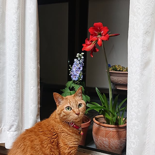 NOAHさんの部屋