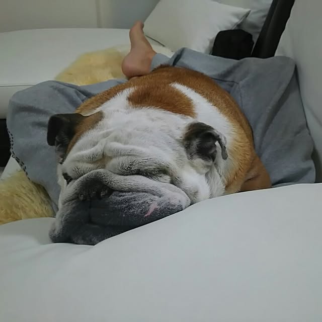 AandPさんの実例写真