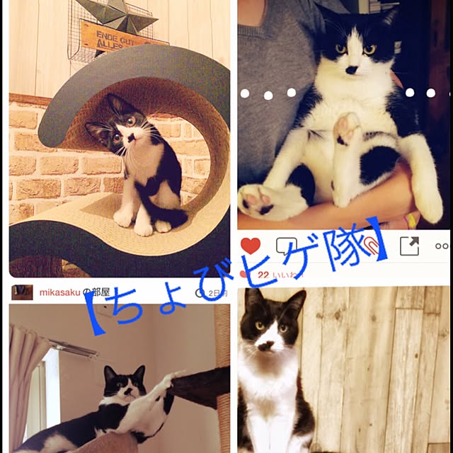 nodokaさんの実例写真