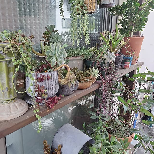 hiro3さんの部屋