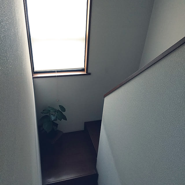 壁/天井/わが家はミサワホーム/シンプル/ウンベラータ♡/ロールスクリーンDIY...などのインテリア実例 - 2022-05-09 16:50:20