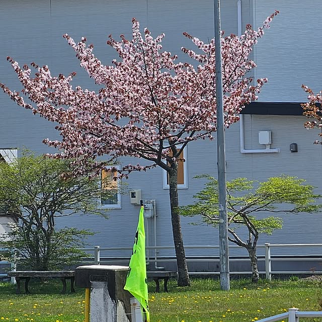 実例写真