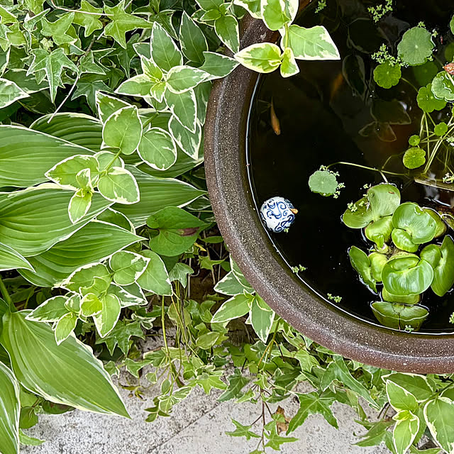 nana77さんの部屋