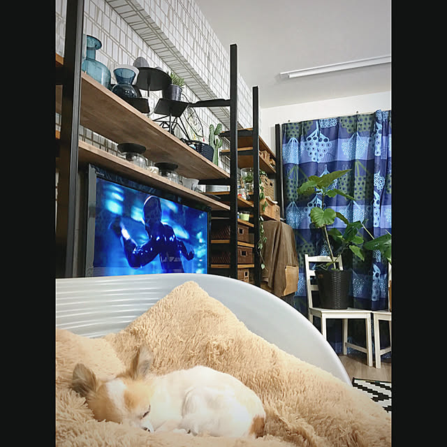 kokohanoさんの実例写真